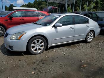  Salvage Nissan Maxima