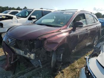  Salvage Lexus RX