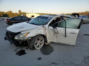  Salvage Nissan Maxima