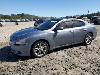  Salvage Nissan Maxima