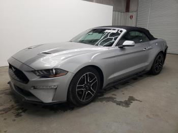  Salvage Ford Mustang