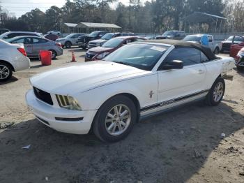  Salvage Ford Mustang