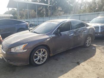  Salvage Nissan Maxima