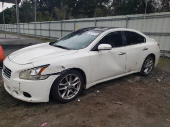  Salvage Nissan Maxima