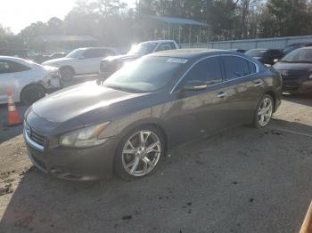  Salvage Nissan Maxima