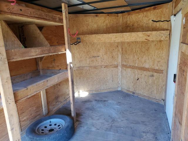 South Georgia Other Image 6