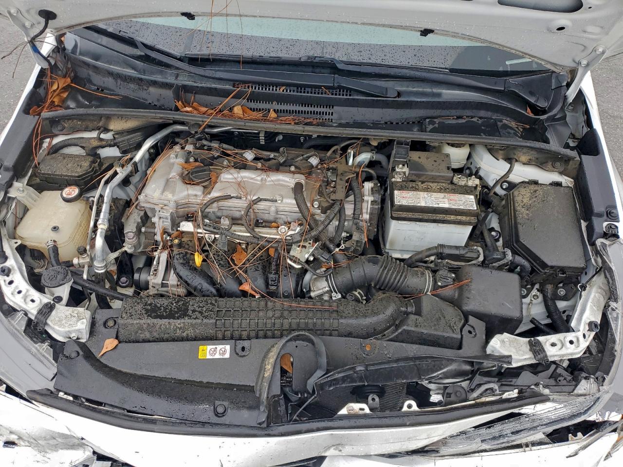 Toyota Corolla Le Image 10