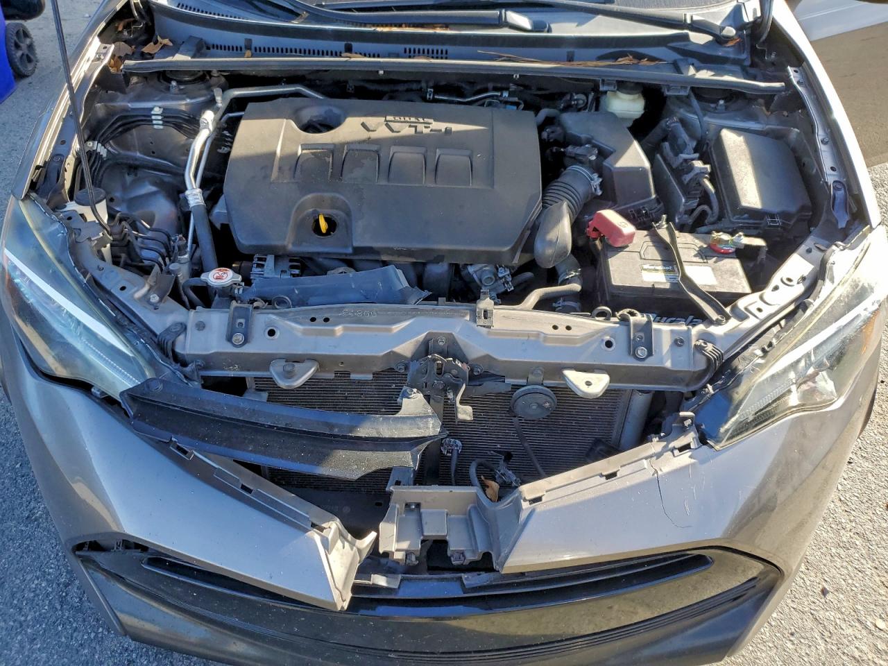 Toyota Corolla L Image 12