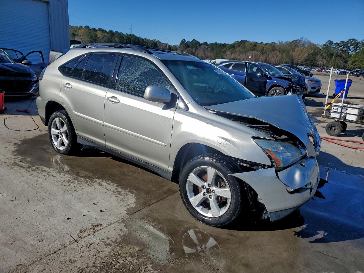 Lexus RX 330 Image 6