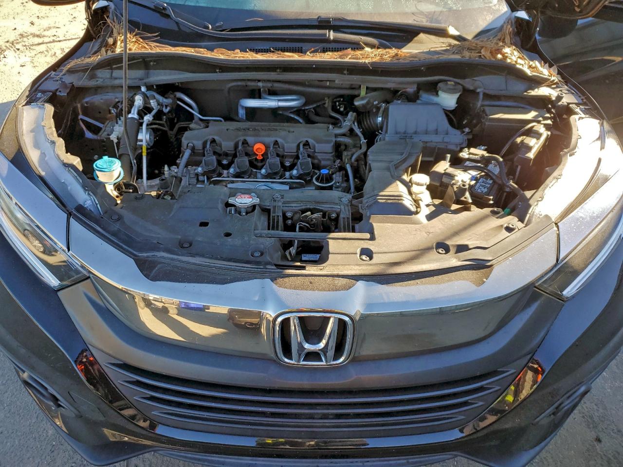 Honda HR-V Exl Image 13