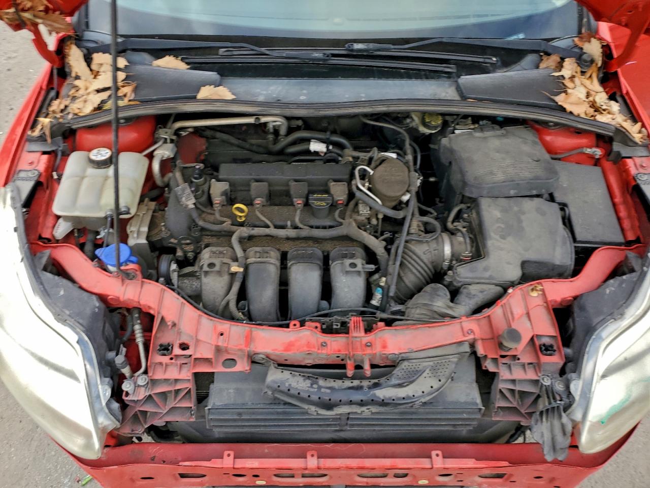 Ford Focus Se Image 6